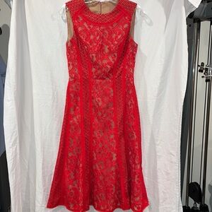 BCBG mesh detail open back midi dress